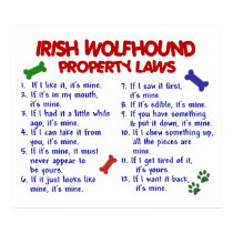 IRISH WOLFHOUND PL2 posters