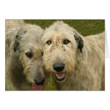 Irish Wolfhounds Cards