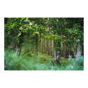 Irish Wood posters by OneBDawn Irish Wood posters