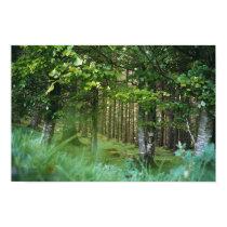 Irish Wood posters