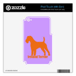 Irlanda Terrier iPod Touch 4G Skins