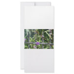 Iron fence, green leaves, purple flower rack cards