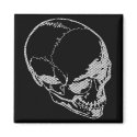 Iron Skull magnets