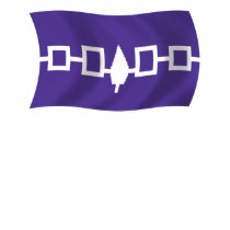 Iroquois Confederacy Flag Shirt by LivingFlags2 Iroquois Confederacy Flag Shirt