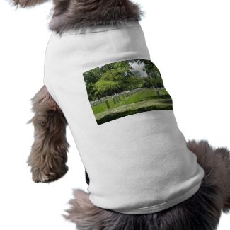 IRows of Grave Markers petshirt
