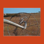irrigation, farming, wheat, lubbock, farms