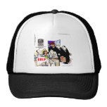 IRS Audits IRS Funny hats