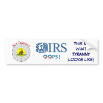 IRS Scandal 2013 Target Bumper Sticker