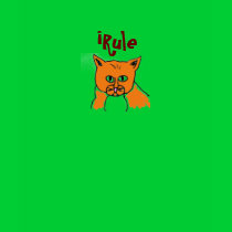 iRule cat shirt