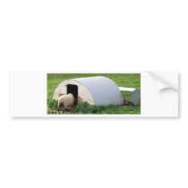 Is Anyone At Home? Bumper Sticker