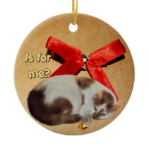 Is For Me? Christmas Cat Christmas Ornament