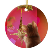 Is for me? christmas ornaments