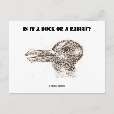 optical illusion duck