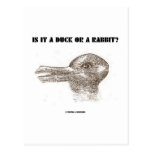 Is It A Duck Or A Rabbit? (Optical Illusion) Post Card