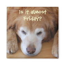 Is it almost Friday? magnets