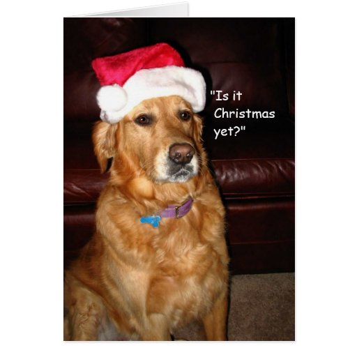 "Is it Christmas yet?" Card  Zazzle