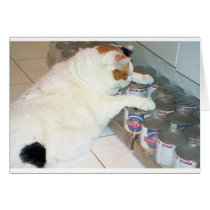 Is it dinner time yet? cards