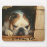 Is It Friday Yet? Bull Dog Mouse Pad