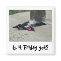 Is it Friday yet? Funny monkey magnet by topchef33 Is it Friday yet? Funny monkey magnet