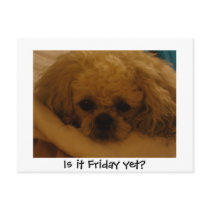 Is it Friday yet? postcards
