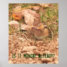 Is it Monday already? Chipmunk Poster