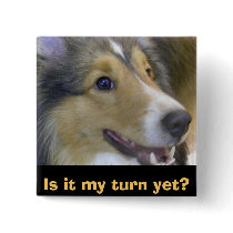 Is it my turn yet? buttons