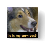 Is it my turn yet? buttons