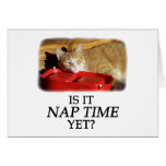 IS IT NAP TIME YET CARDS
