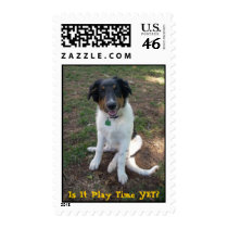 Is It Play Time YET? postage