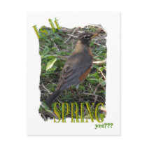 Is It Spring Yet??? Post Cards