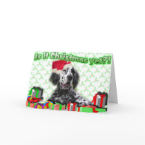 Is it Xmas yet? cards