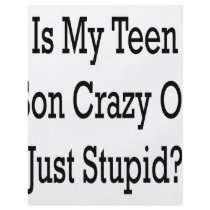 Is My Teen Son Crazy Or Just Stupid flyers
