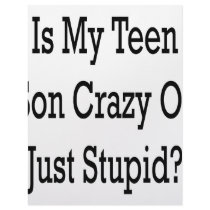 Is My Teen Son Crazy Or Just Stupid letterhead