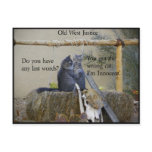 Is One Of The Earp Boys About To Be Hung? Postcard