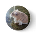 'Is that a bee'? - Tac Badge buttons by roborovskihamsters 'Is that a bee'? - Tac Badge buttons