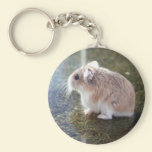 'Is that a bee'? - Tac Keychain keychains