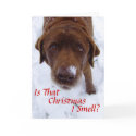 Is that Christmas I smell? cards