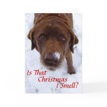 Is that Christmas I smell? cards by Bro_Jones Is that Christmas I smell? cards