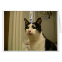 Is That Food I Smell? cards by disneylandkait59 Is That Food I Smell? cards