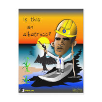 Is this an Albatross? Post Card