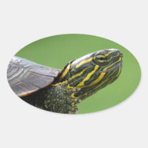 Is this my best side? oval sticker