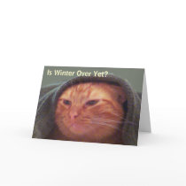Is Winter Over Yet? Cat Greeting Card