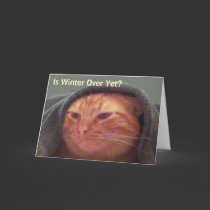 Is Winter Over Yet? Cat Greeting Card - Customized
