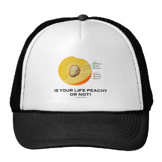 Is Your Life Peachy Or Not? (Food For Thought) Trucker Hats