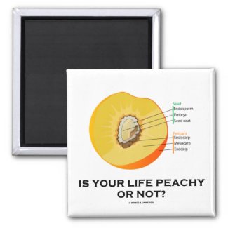 Is Your Life Peachy Or Not? (Food For Thought) Magnets