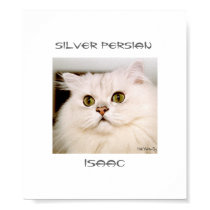 Isaac, An Extraordinary Silver Persian posters