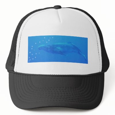 Isabella's Whale - Cap/Hat by thedfbstore