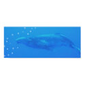 Isabella's Whale Print/Poster by thedfbstore Isabella's Whale Print/Poster