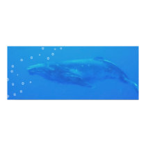 Isabella's Whale Print/Poster