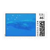 Isabella's Whale - Save The Whales - Post Stamps